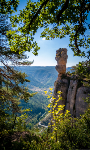 GGL-terrains-près-de-rodez (3)