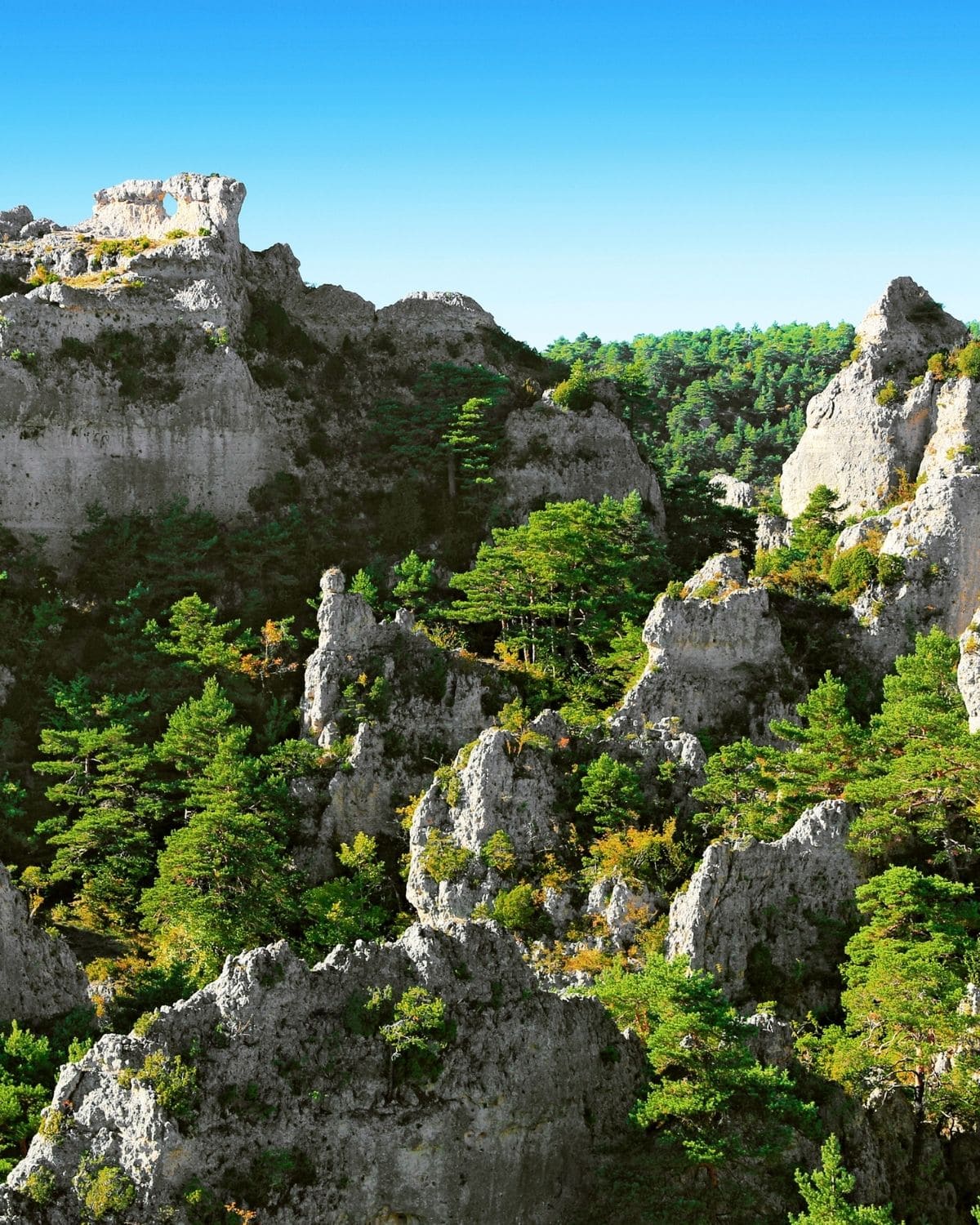 GGL_Aveyron (2)