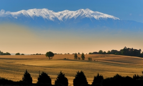 GGL-Perpignan
