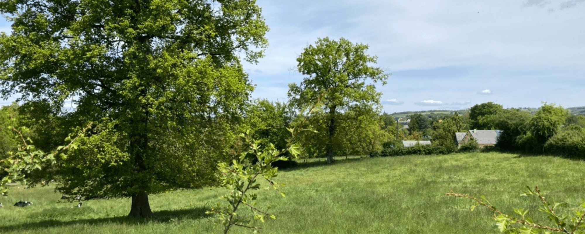 GGL-Rignac-Les-Amifeuillus-3 (1)